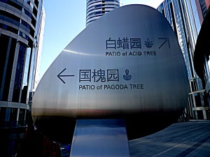 Patio of Acid Tree